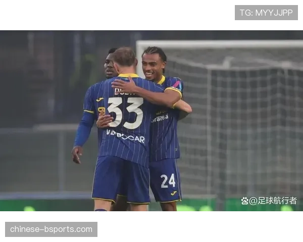 维罗纳客场2比1战胜佛罗伦萨 积分达到12分脱离降级区